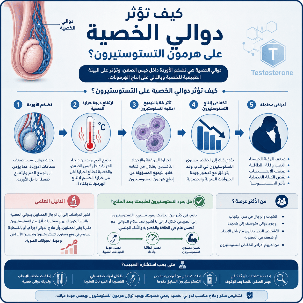 كيف تؤثر دوالي الخصية على هرمون التستوستيرون؟